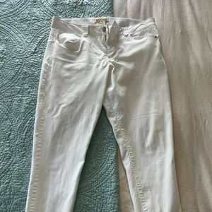 White Democracy Jeggings